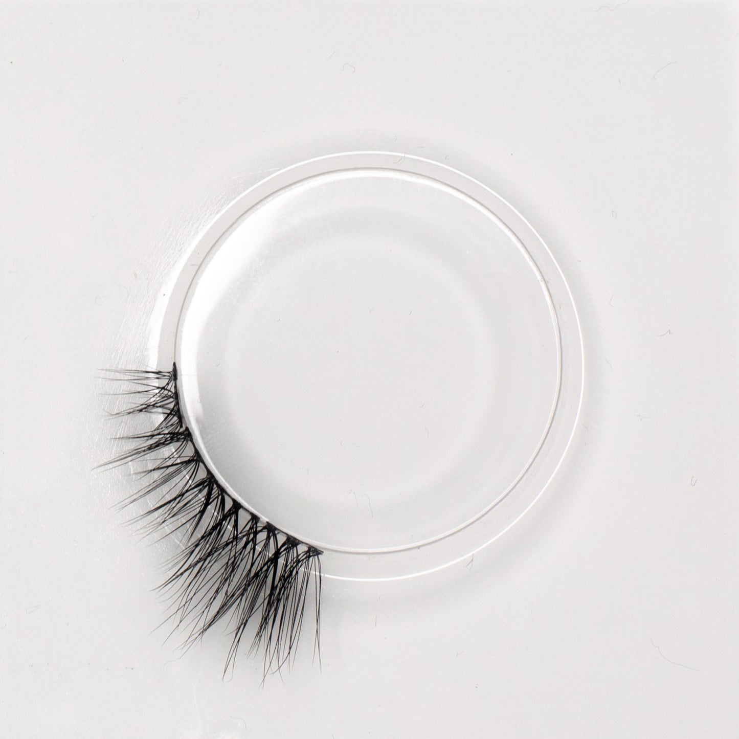 Natural Premium Lashes Kit