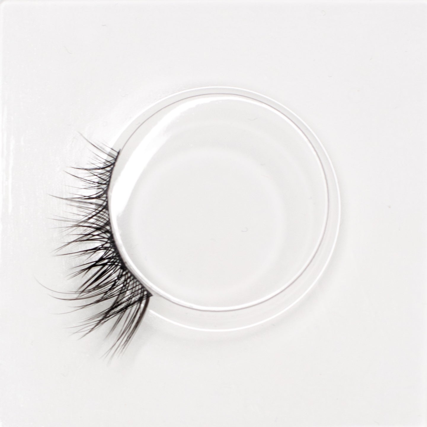 Volume Up Premium Lashes Small Kit