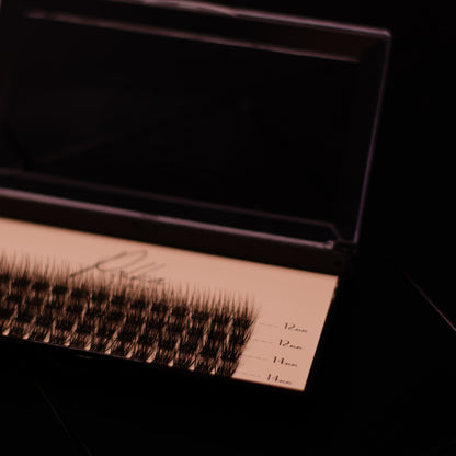 Luna Premium Lashes Small Kit 12-14 mm