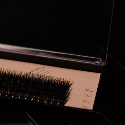 Laima Premium Lashes Kit 12-14 mm