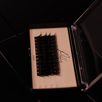 Laima Premium Lashes Kit 12-14 mm